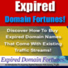 Thumbnail Expired Domain Fortunes!
